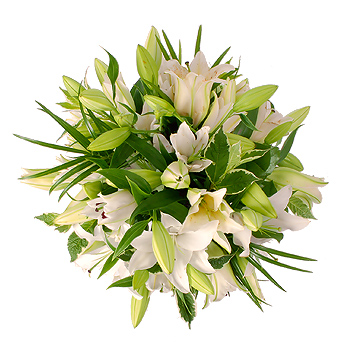 Unbranded White Lily Bouquet - flowers