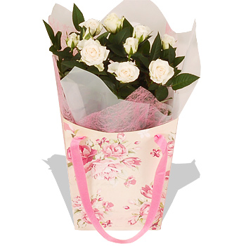Unbranded White Rose Plant Gift Bag - flowers