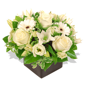 Unbranded White Sympathy Cube - flowers