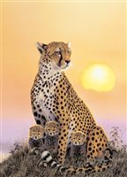 Wildlife Picture Cheetah and Cubs 1000 Piece Jigsaw Puzzle