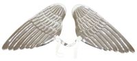 Wings Angel (Adult) Silver Moulded Plastic