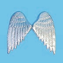 Wings - Metallic silver plastic - small