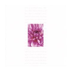 Unbranded With Love And Best Wishes Card