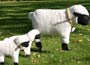 Woolly Sheep ( LARGE )