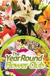 Unbranded Year Round Flower Club