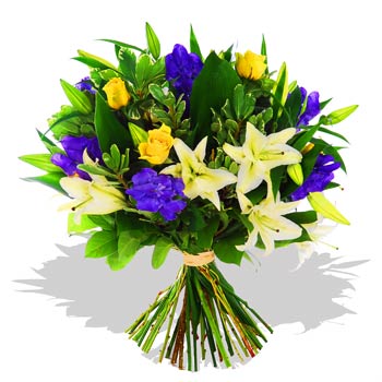 Unbranded Yellow and Purple - flowers