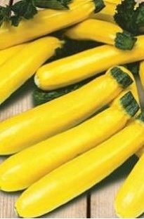 We at Blooming Direct think that the yellow Courgette is just about one of the best summer vegetable