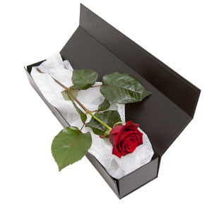 Unbranded Youre The One - Boxed Single Red Rose