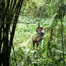 Enjoy a one-of-a-kind experience in the outskirts of Montego Bay as you soar like a bird at speeds of up to 35 miles per hour, hundreds of feet above the earth on secure zip lines.