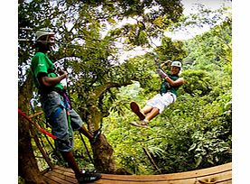 Unbranded Zipline Canopy from Negril - Child