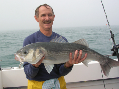 Up to andpound;150 Sea Bass Fishing