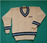 Upfront Cricket Academy UPFRONT FULL sleeve Cricket Sweater junior youths boys, 30 inch