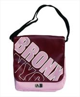 Urban Access Pizza Box Courier - Bronx