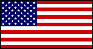 USA paper flag, 11`` x 8``