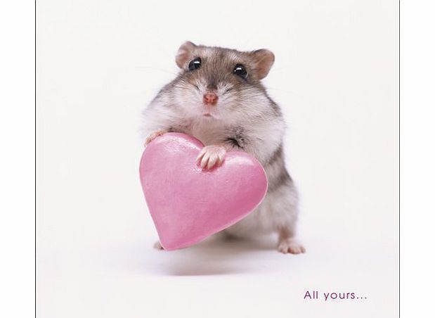 Valentines Day All Yours Hamster Valentines Day Card