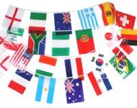 Value World Cup Bunting (7m) 24 Flags