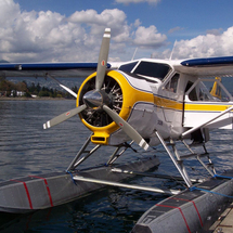 Vancouver Panorama Seaplane Tour - Adult