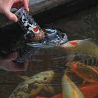 Velda Fish Food Feeding Bottle