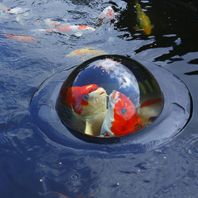 Velda Floating Koi Dome Small (35cm)