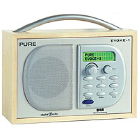 Evoke-1 Portable DAB Radio (Pure Digital)