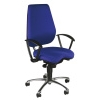 Viking Ergonomic Operators Chair (Blue)