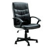 Viking High Back Leather Chair