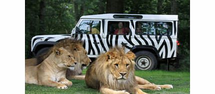 Vip Safari Tour at Longleat Safari Park (Adult)