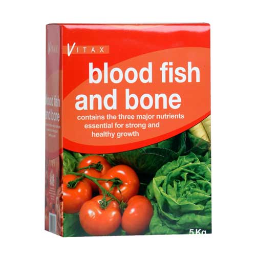 Blood Fish and Bone