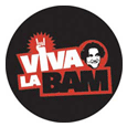 Viva La Bam Logo Button Badges