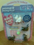 Animal Hopsital - Pocket babies