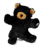 Lil Kinz - Black Bear