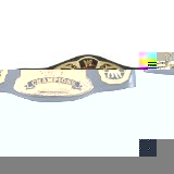 Vivid Imaginations WWE Title Belts - Tag Team