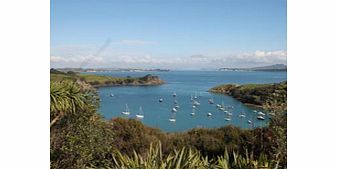 WAIHEKE ISLAND Explorer Tour - Child