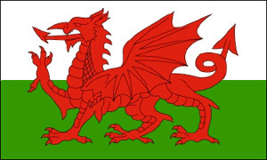 Wales paper table flag, 6`` x 4``
