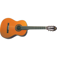 C40 Classical Acoustic Guitar