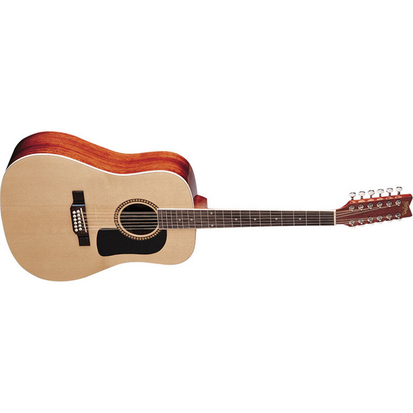 D10S 12 String Acoustic Guitar