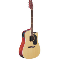 D10SCE Electro-Acoustic Guitar