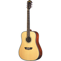 D46S Acoustic Guitar