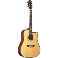 D46SCE Electro-Acoustic Guitar