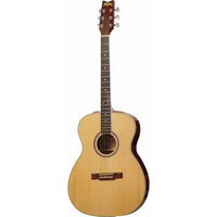 F10S Acoustic Guitar