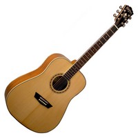 WD10S Acoustic Guitar