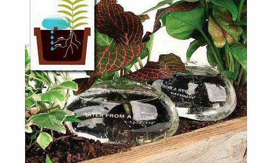 Water Stones - Set of two plant watering glass