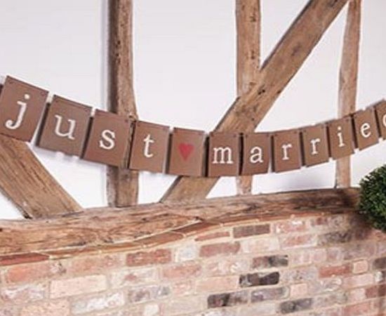 Wedding Accessories and Giftware Just my Type Just Married Bunting