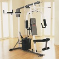 compact gym with stepper and vertical knee raise