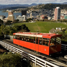 Wellington City Tour - Child