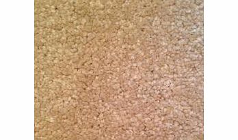 LUXURY CHEAP!! CREAM/BEIGE bathroom Carpet - washable waterproof carpet 2 metres wide choose your own length in 1ft.(foot) Lenghts