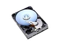 Western Digital Caviar 40Gb 2mb Cache 5400RPM HDD OEM