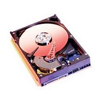Western Digital Caviar Hard Disk Drive SE 40GB