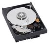 RE2 WD1601ABYS Hard Drive - 3.5` - 160 GB - 7200
