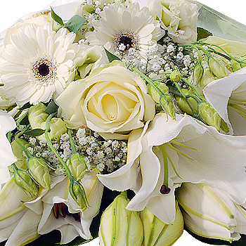 White Gift Wrap - flowers